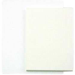 Tekenpapier Papyrus 65x100cm 160gr 125 vel
