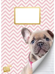 SCHRIFT STUDIO PETS A4 LIJN 1 STUK
