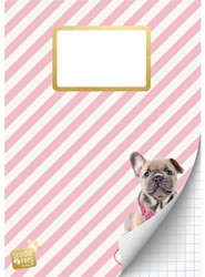 SCHRIFT STUDIO PETS A4 RUIT 1 STUK