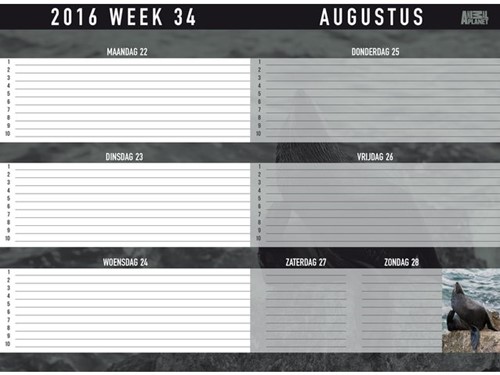 SCHOOLAGENDA 2016 ANIMAL PLANET 1 STUK-2