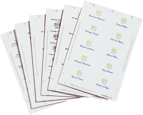Badgekaart Durable 1455 bedrukbaar 54x90mm 200 stuks